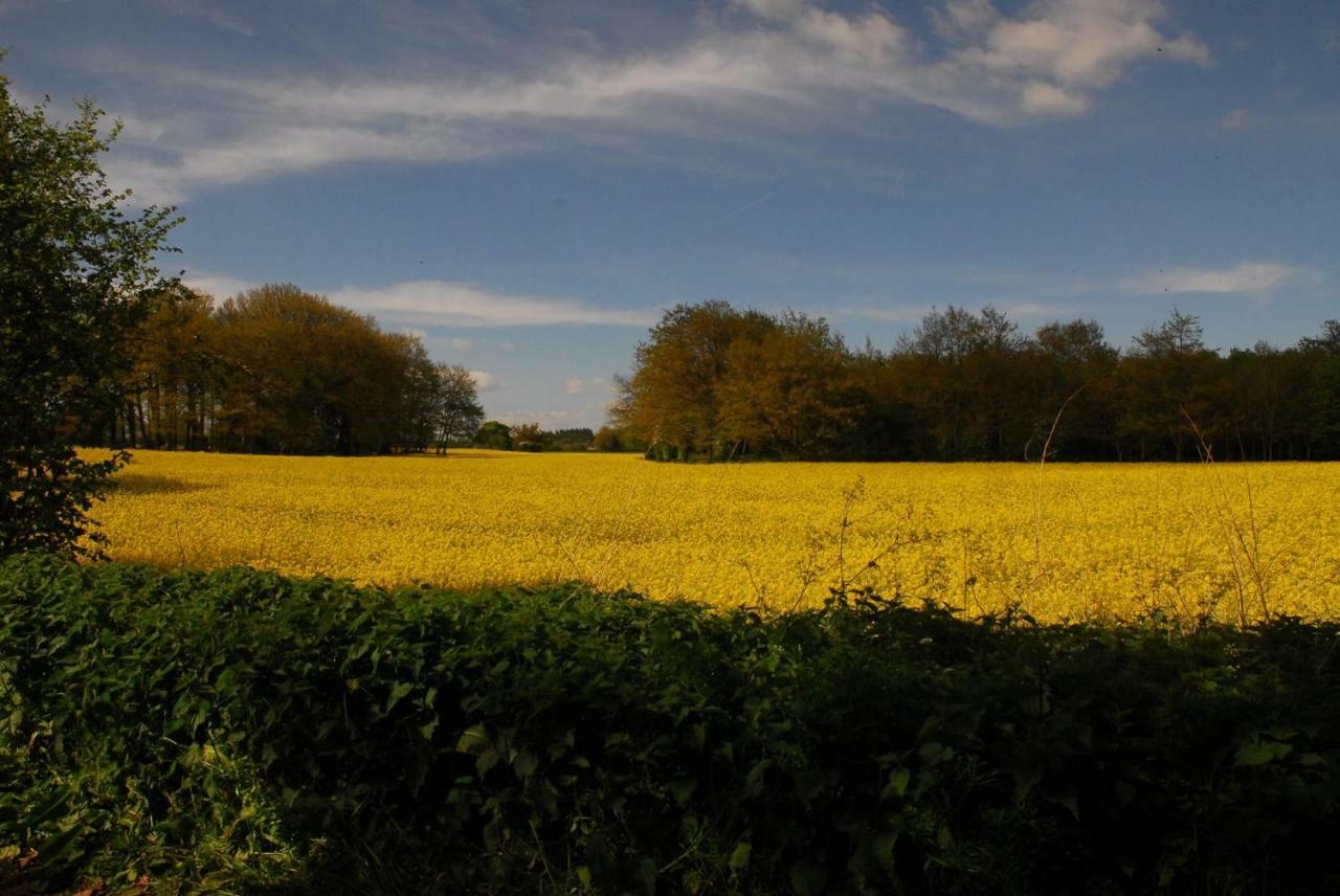 Sindles Farm Emsworth Exterior foto